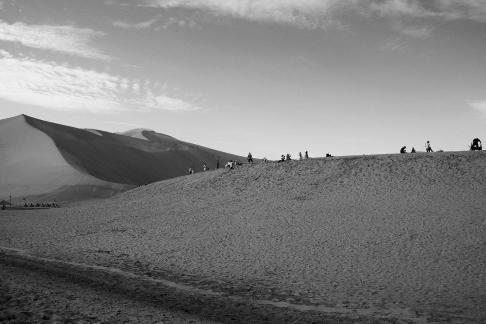 Desert Journey 40