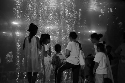 Aquarium Tour 21