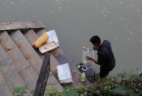 If I were in Jiangnan 13