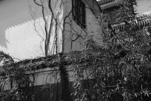 Journey to Yuelu Mountain 35