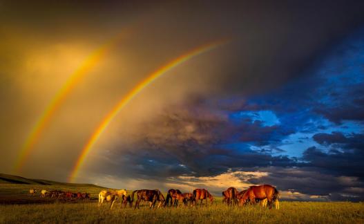Rainbow Ranch beautiful