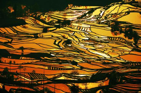 Colorful terraced fields