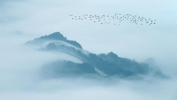 Zhangjiajie in the sea of clouds 4