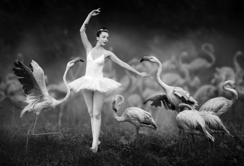 Ballet dance in crane