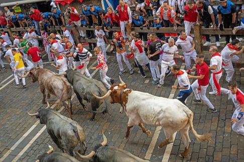 Bull Running in Pamplona 09