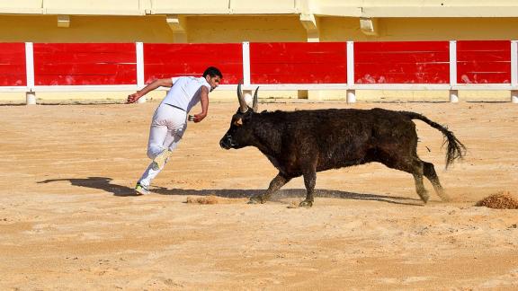 Salines maries1