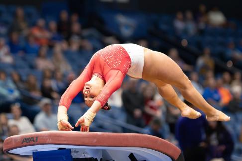 Yurchenko Vault 2024 SEC