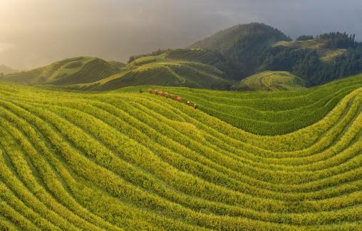 Dawn in Zhuang Village