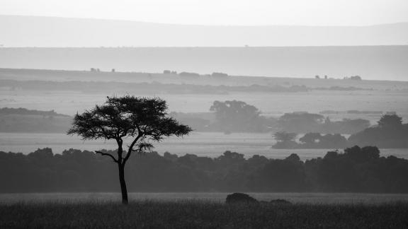 Mara Sunrise 2024 01