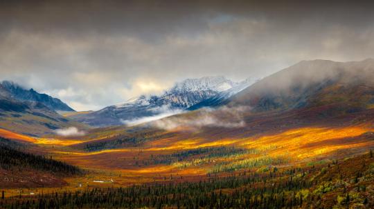 Yukon morning