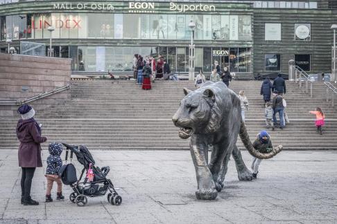 Oslo city tiger