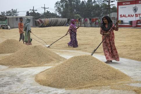 Dhaka rice industry 6