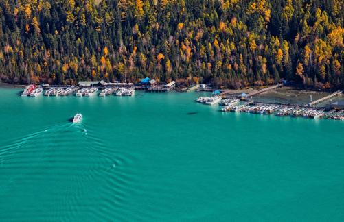 Lake and the forest