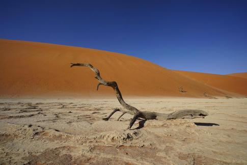 Deadvlei_16