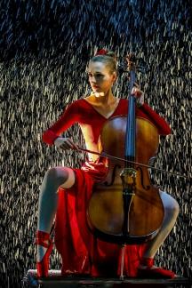 The Woman and the Cello