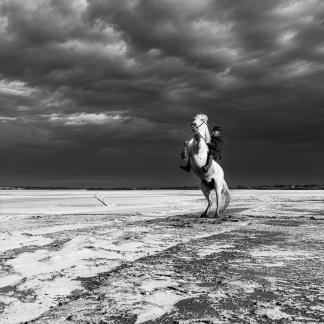 Aux Salins Aigues Mortes 7