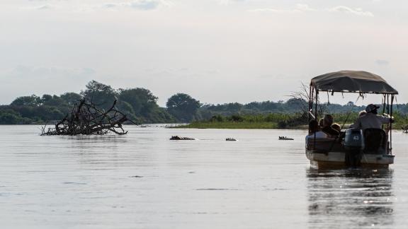 A Hippo visit