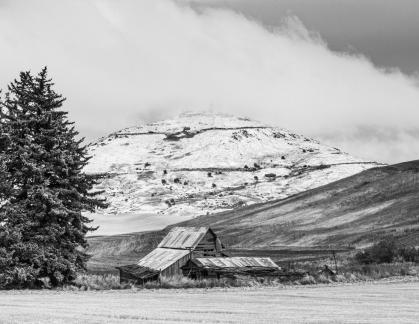 Steptoe Butte landscape