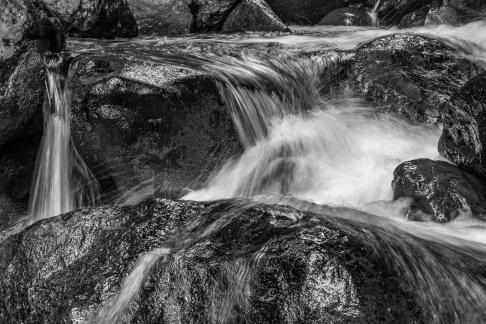 Above Cougar Falls