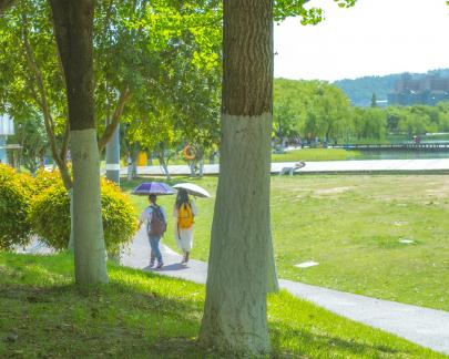 A Walk In the Park