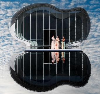 Mirror Image