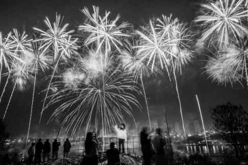 Fireworks bloom in full bloom 17