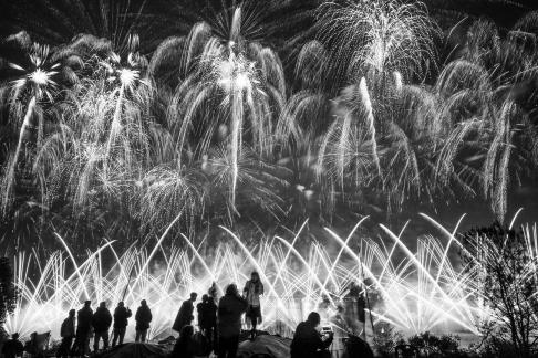 Fireworks bloom in full bloom 19