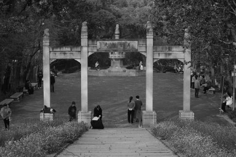 Front Spring and Autumn Period 3