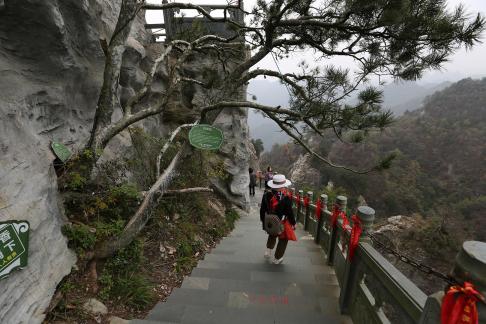 Mountain landscape 47