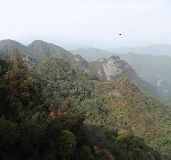 Autumn Mountain Silence Language 2