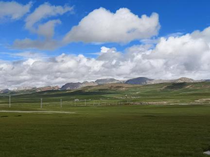 Qingqing Grassland 8