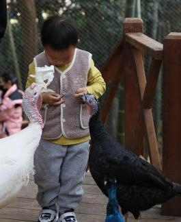 Play with the baby 4