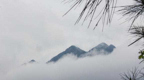 Green curtain hanging clouds 19
