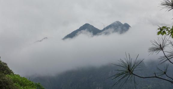 Green curtain hanging clouds 20