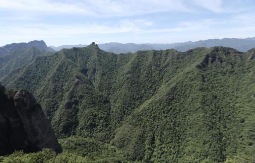 Green environment 10