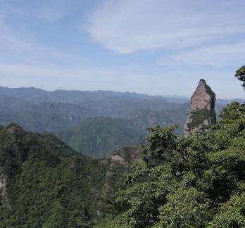 Green environment 11