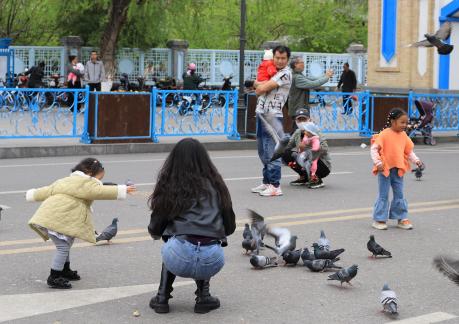 Feed the Peace Dove 6