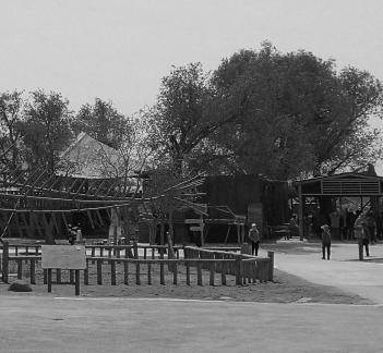 Forest building language 1