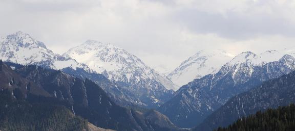 Celestial snow without dust 16