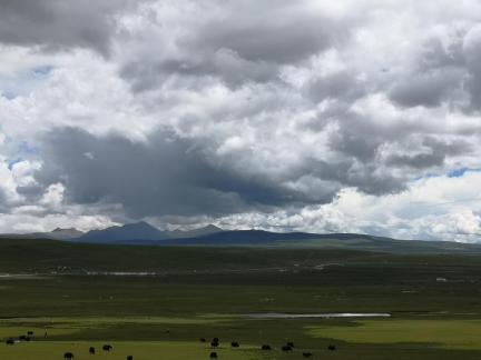 Yunmu Green Field 24