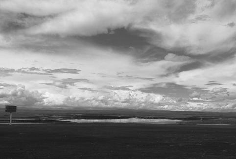 Yunmu Green Field 19