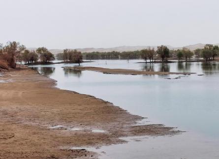 Shallow pond reflecting autumn 3