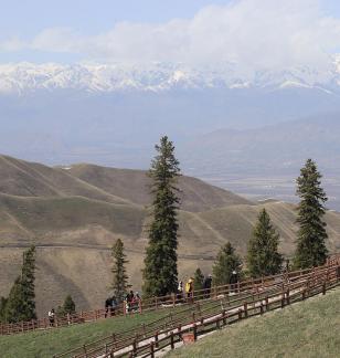 Snowy Ridge Pine Plains 22