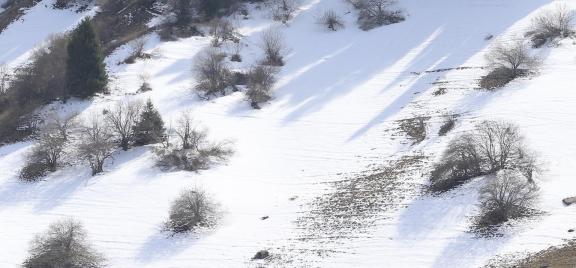 Snow on Cold Mountain 11