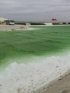 Green Salt Lake 7