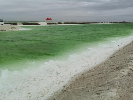 Green Salt Lake 9