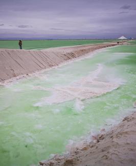 Green Salt Lake 12