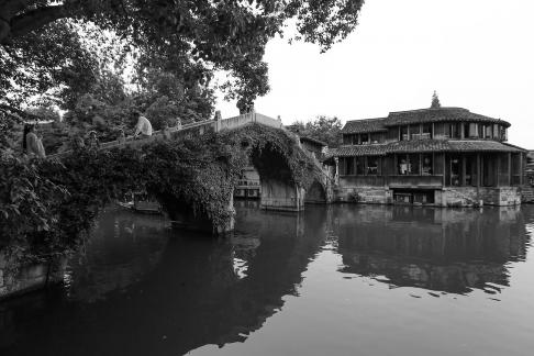 Singing on the green waves 5