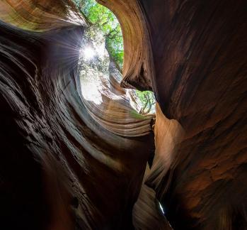 Canyon Light