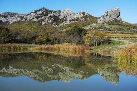 Autumn lake
